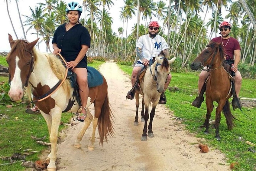 Three people riding horses on a dirt path with palm trees in the background. 4