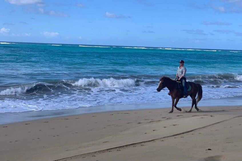 A person riding a horse along a beach with waves crashing onto the shore. 5