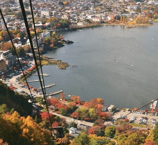 A coastal cityscape with autumn foliage, a marina, and a bridge. 5