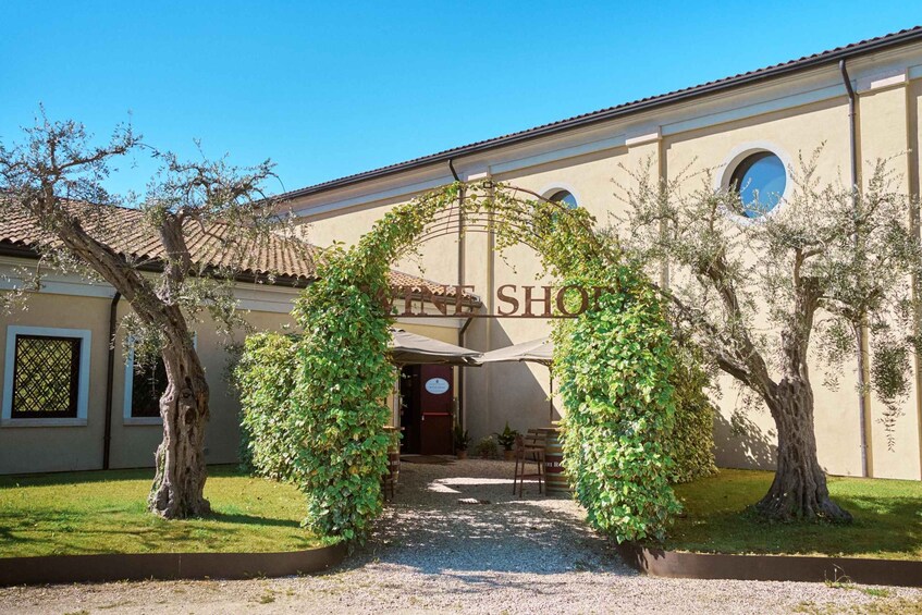 A building with a sign reading 'Café Shop' and an archway of climbing plants. 3