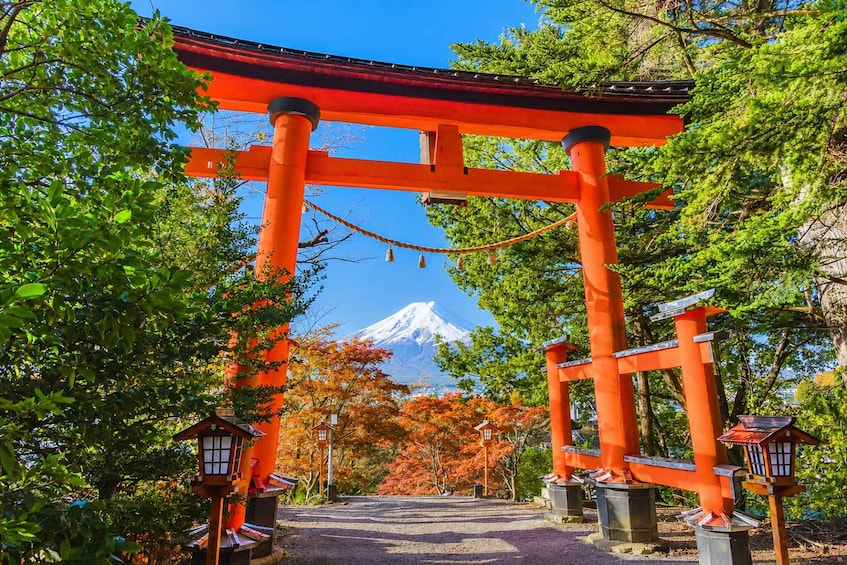 Picture 4 for Activity Tokyo: Mt. Fuji Kawaguchi Highlights 25-Person Minibus Tour 5