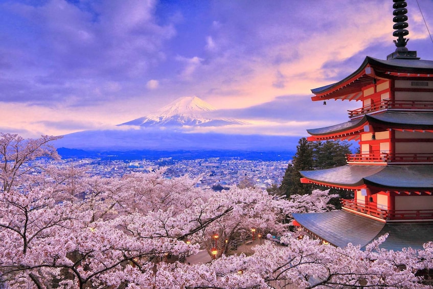 A traditional Japanese pagoda, cherry blossoms, and Mount Fuji in the background. 5