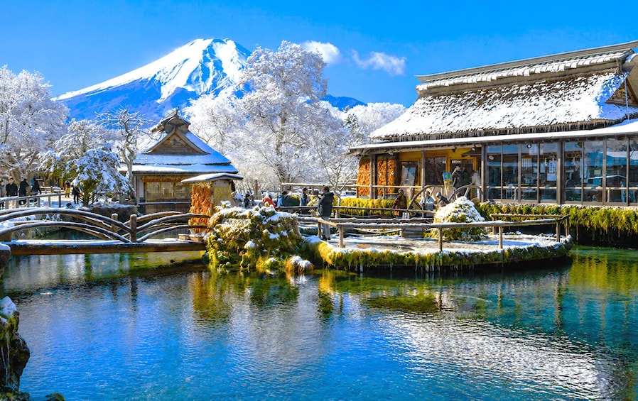 Picture 14 for Activity Tokyo: Mt. Fuji Kawaguchi Highlights 25-Person Minibus Tour 3