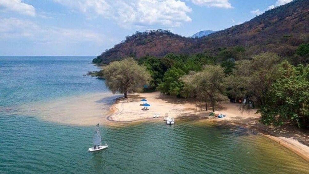 A beach with boats, umbrellas, and trees. 2
