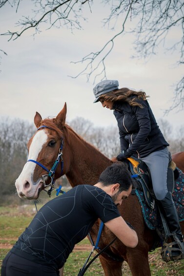A person riding a horse with a saddle, in an outdoor setting with trees in the background. 1