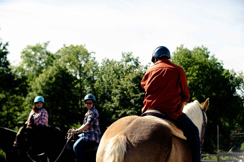 Three people riding horses in an outdoor setting with trees in the background. 3