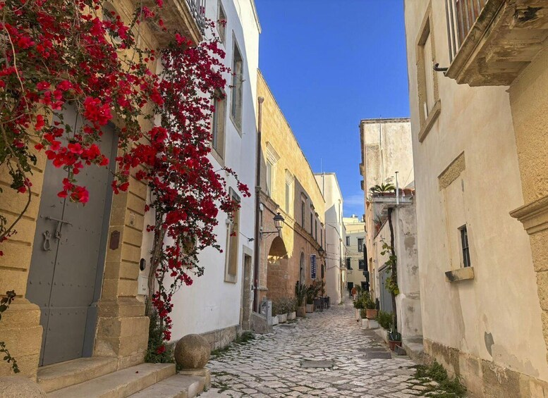 A narrow cobblestone street flanked by historic buildings with red flowering vines. 3