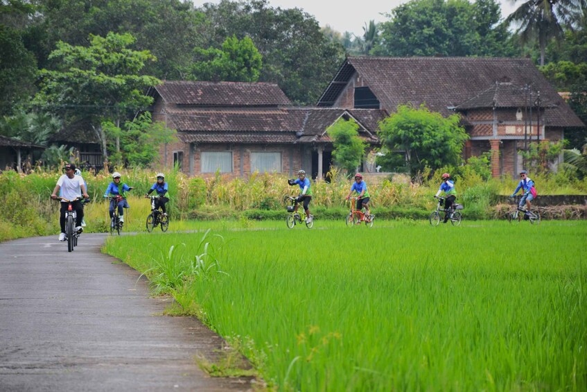 Cyclists riding on a path through a green field with traditional houses in the background. 1