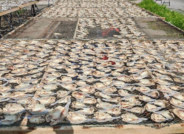 A large outdoor drying rack filled with fish. 3
