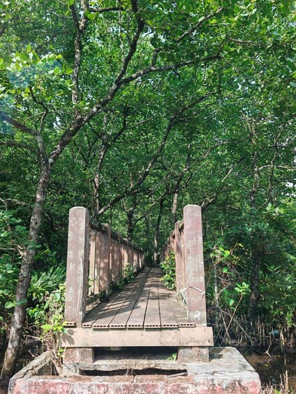 A wooden bridge in a forested area. 4