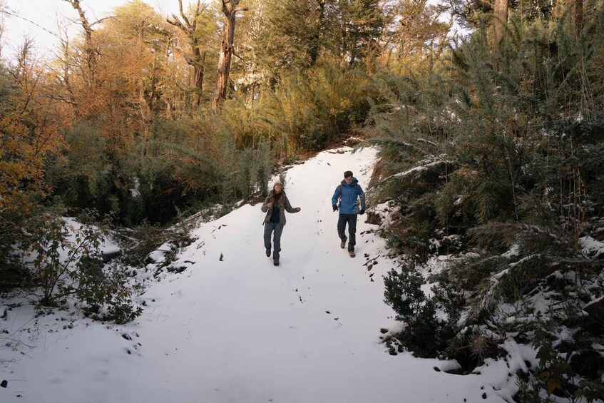 Two people hiking on a snow-covered trail surrounded by coniferous trees. 3