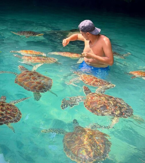 Picture 4 for Activity Salam Cave Zanzibar: Swim with Turtles + Entry Fee 4