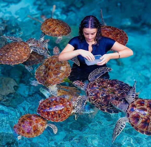 Salam Cave Zanzibar: Swim with Turtles + Entry Fee 1