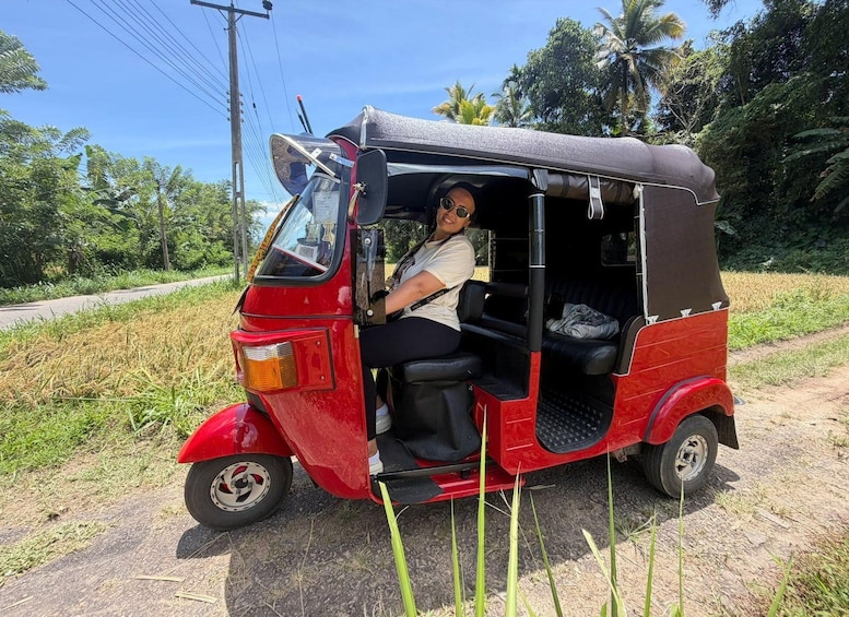 A red auto-rickshaw parked on a rural road with greenery and palm trees in the background. 3