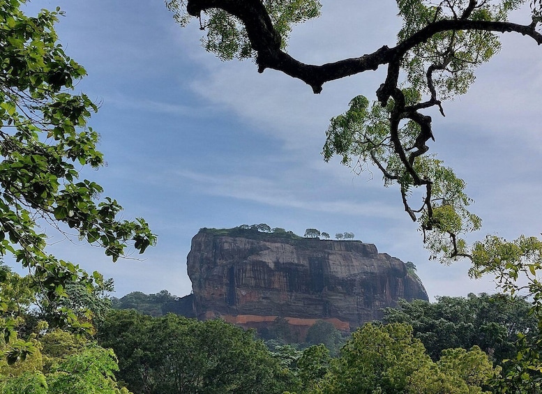 Picture 8 for Activity Eco Park Safari with Polonnaruwa Day Tour from Sigiriya 5