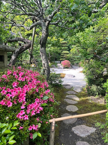 A garden with pink flowers, a stone path, and a large tree. 5