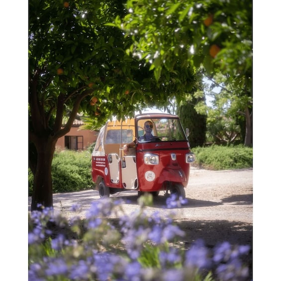 A vintage red and white vehicle parked under a tree with purple flowers in the foreground. 4