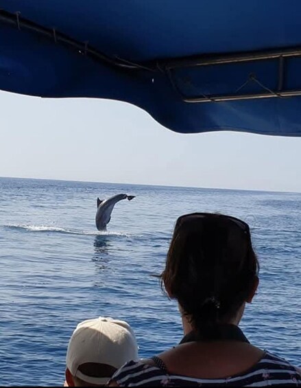 A person on a boat watching a dolphin leaping out of the water. 5