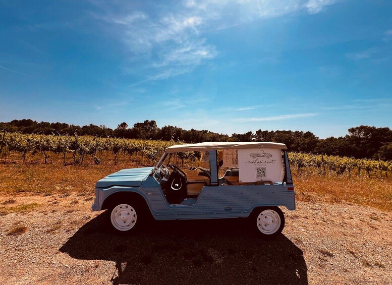 A vintage car parked in a vineyard. 2