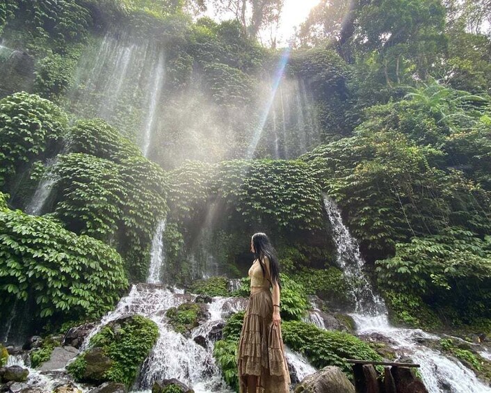 A waterfall surrounded by lush greenery. 3