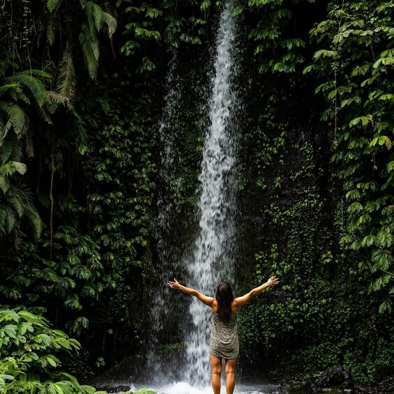 A person standing with arms outstretched facing a waterfall in a forest. 3