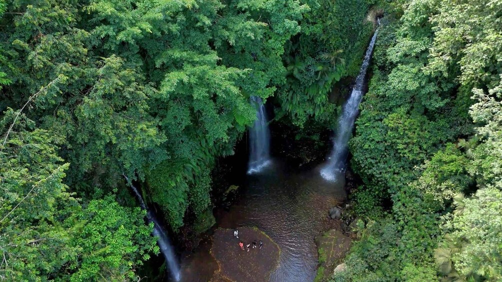 A waterfall surrounded by dense green foliage. 2