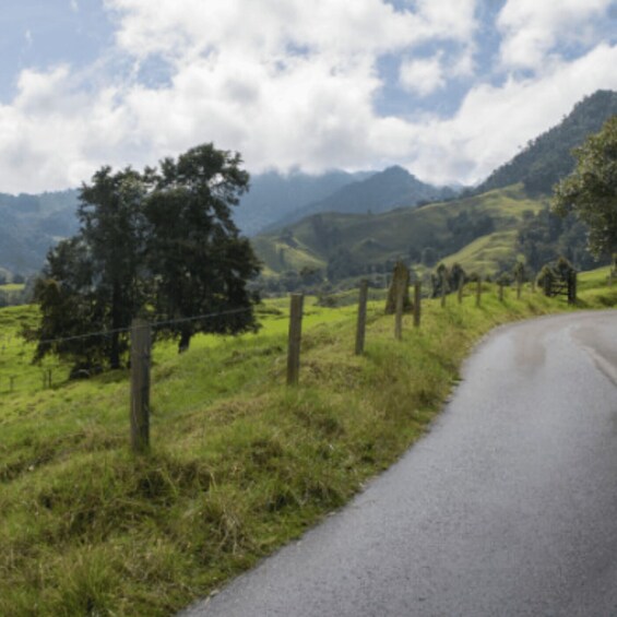 A rural road curving through a green landscape with mountains in the background. 4