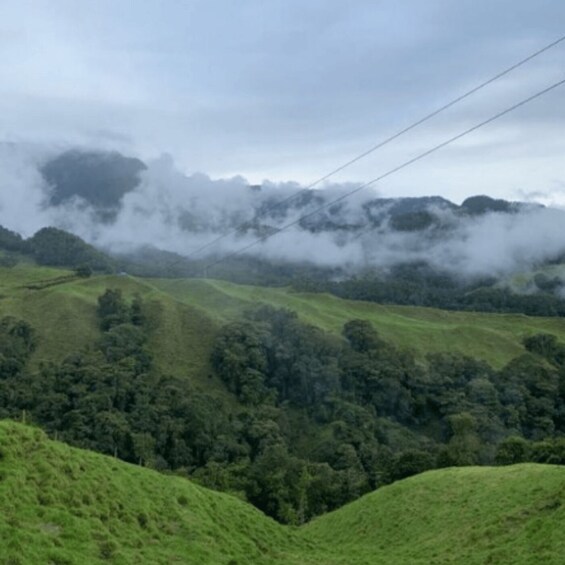 Rolling green hills, dense forest, and a mountain range shrouded in mist. 5