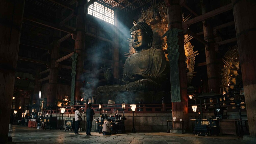 Nara: UNESCO World Heritage Private Half-Day Walking Tour 3