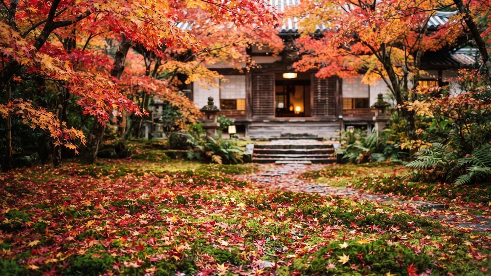 Picture 29 for Activity Nara: UNESCO World Heritage Private Half-Day Walking Tour 2