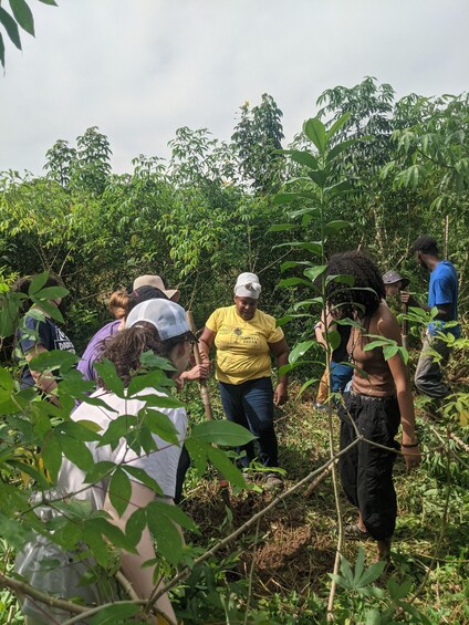 A group of people in a forested area, some wearing hats and casual clothing, engaged in an outdoor activity. 1