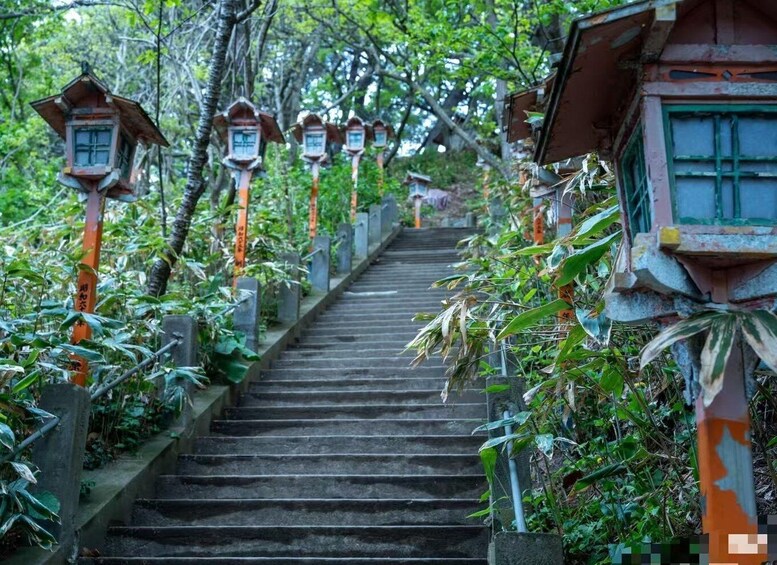 A staircase surrounded by lush greenery and traditional lanterns. 4