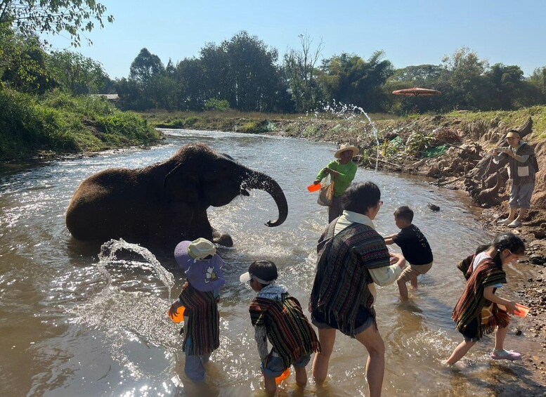 Un elefante en un río con gente a su alrededor. 3