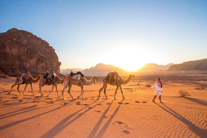 A desert landscape with camels and a person. 3