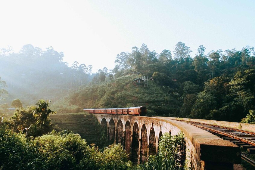 A train on a bridge with arched supports, surrounded by lush greenery and trees. 5