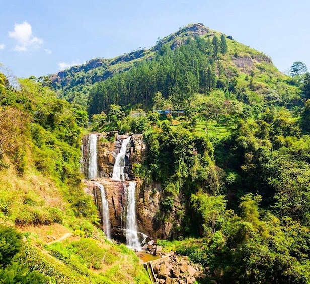 A waterfall cascading down a rocky cliff surrounded by lush greenery and a forested mountain. 3