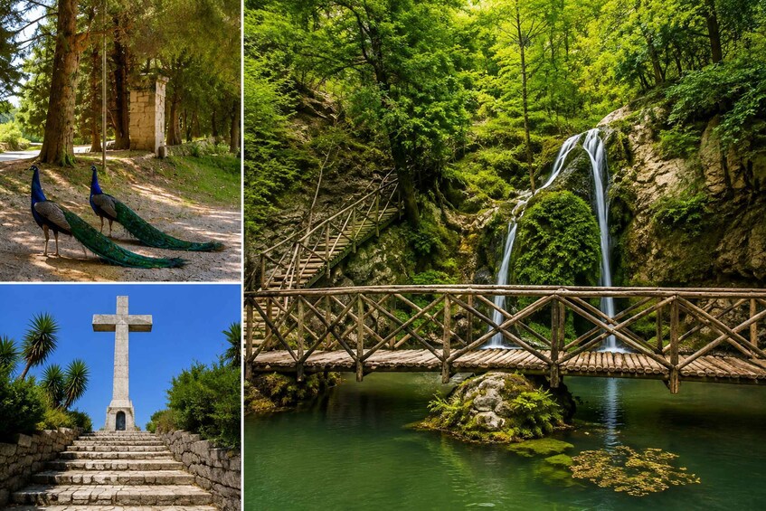 Peacocks on a path, a wooden bridge over water, and a stone cross. 2
