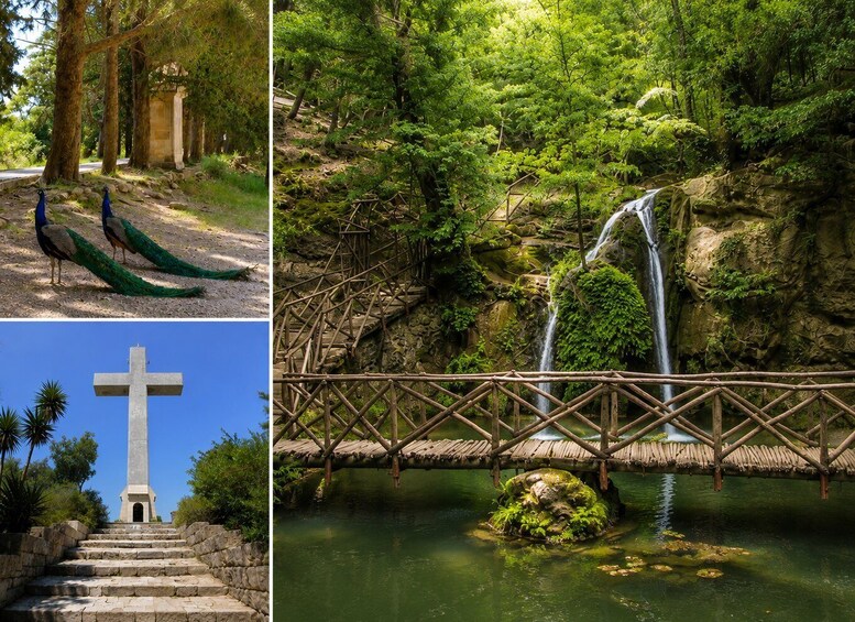 Rhodes: Butterfly Valley & Filerimos Half-Day Tour 1