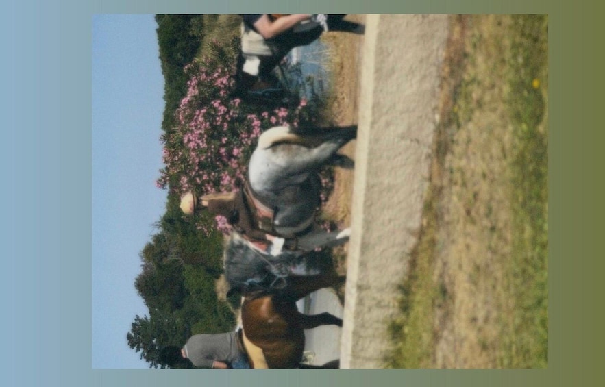 A group of people walking on a path in a park with blooming flowers and trees. 5