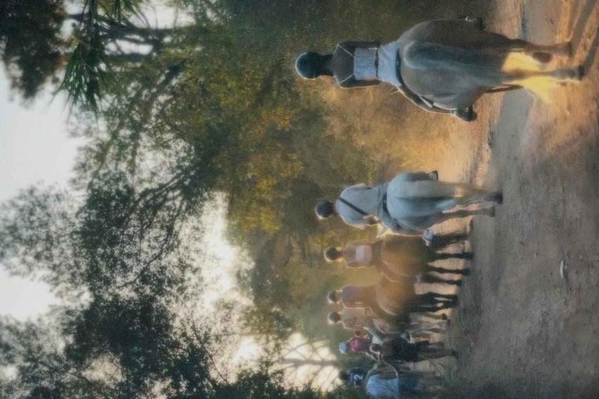 A group of people walking with a horse on a dirt path surrounded by trees. 3