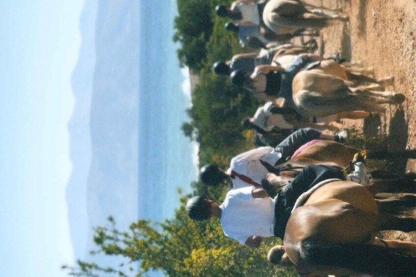 A group of people herding cattle along a dirt path with mountains in the background. 2