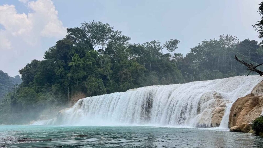A waterfall cascading into a river surrounded by dense forest. 2