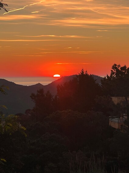 A sunset over a mountainous landscape with silhouetted trees and a building. 2