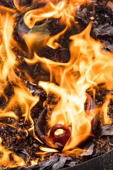 A close-up of a fire with flames consuming wood and ash. 5