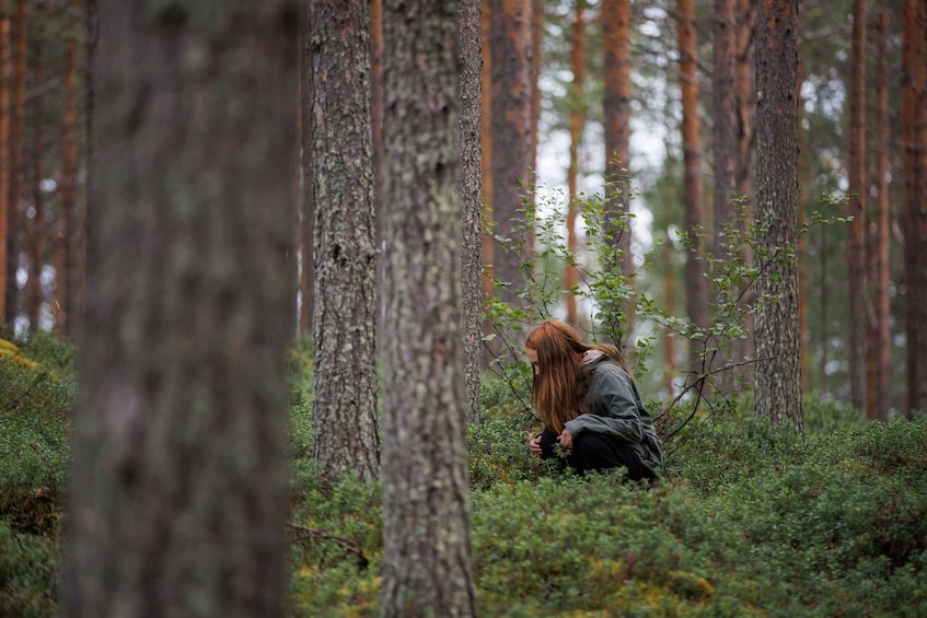 A person crouching in a forest with tall trees and dense underbrush. 4
