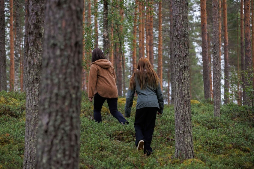 Two people walking through a forest with tall trees and green underbrush. 3