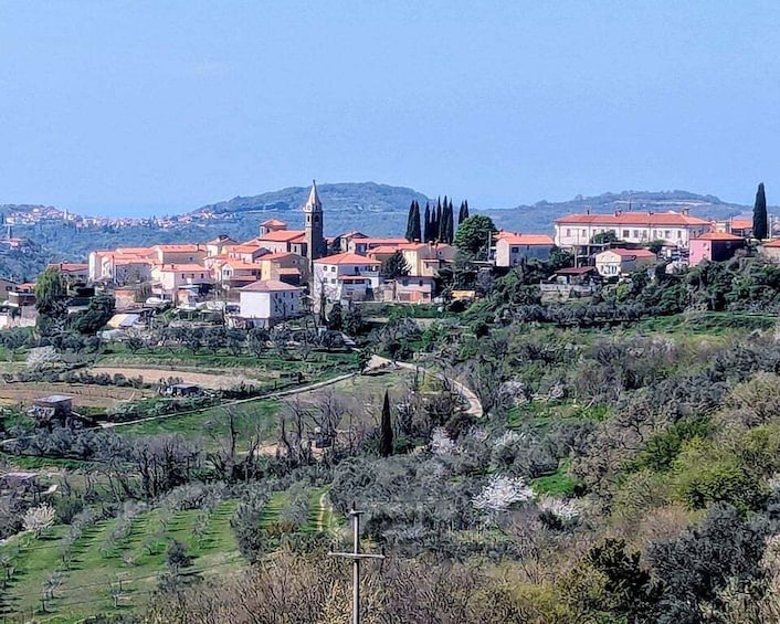 A hillside village with terraced fields, a church with a bell tower, and a clear blue sky. 1