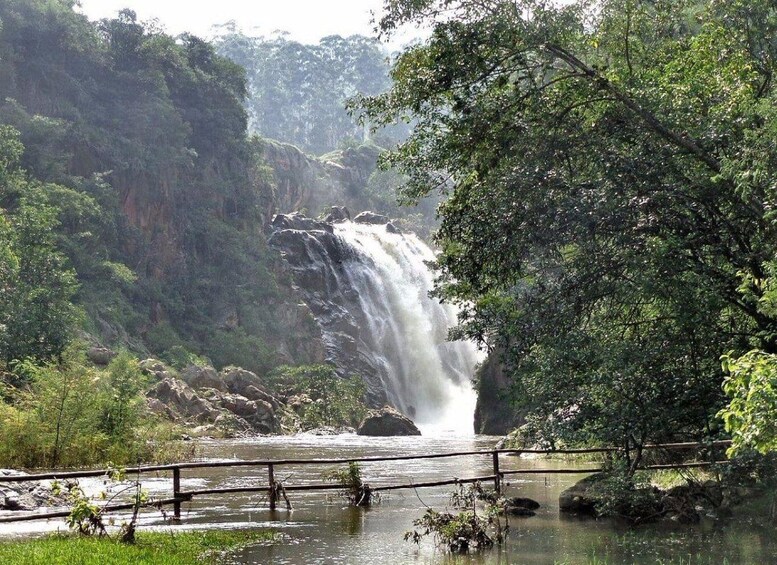 A waterfall cascading into a river, surrounded by dense forest and a wooden bridge. 3