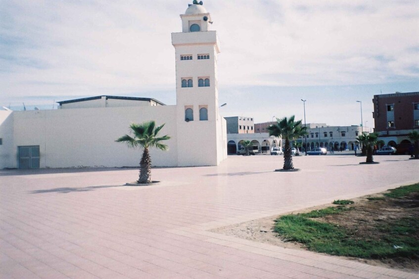 A white building with a tower, palm trees, and a paved area with cars and a bus. 3