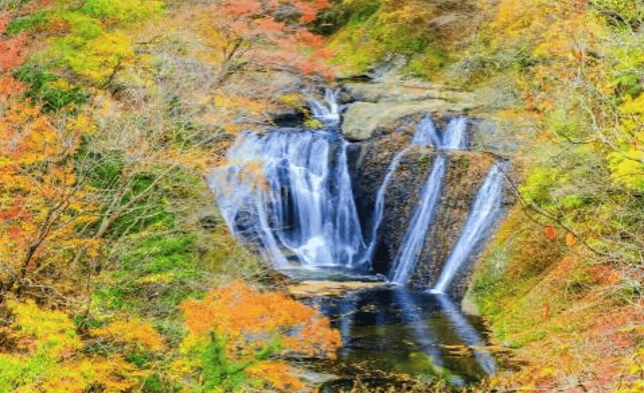 A waterfall surrounded by autumn foliage. 3